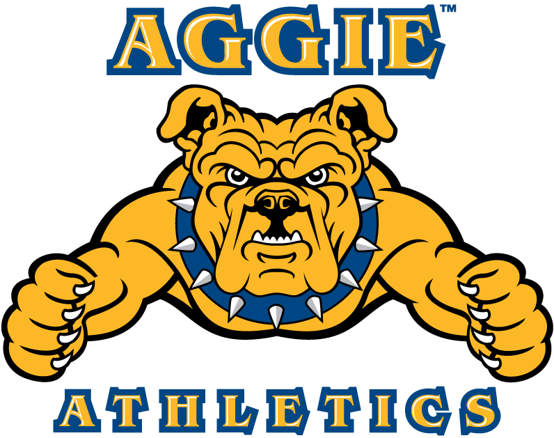 North Carolina A&T Aggies 2006-Pres Alternate Logo iron on transfers for T-shirts